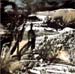 13  Automne 1990-1993 Encre sur papier 138 x 138cm ( collection du Musee d'Art de Shanghai )